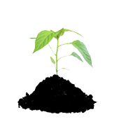 Other Agriculture & Food icon