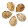 Feeds, Supplements & Seeds icon